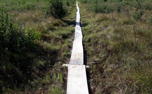 Dusetų girios pažintinis takas.jpg