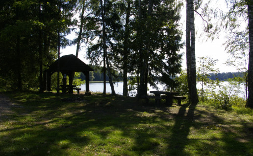 Dusetų girios stovyklavietė_1.jpg