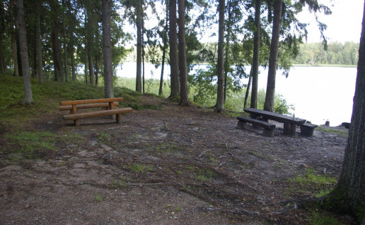 Kavolių šilelio stovyklavietė Nr. 2.jpg