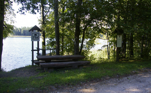 Dusetų girios poilsiavietė.jpg