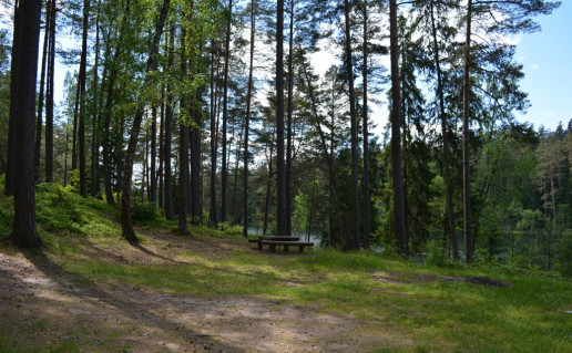 LeikstinioII 087.jpg