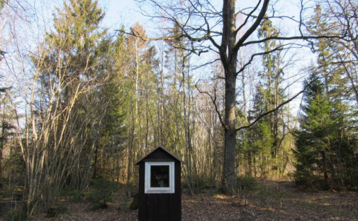 Ilgio ežero pėsčiųjų-dviračių trasa.jpg