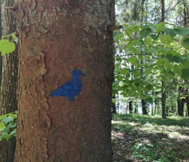 Ilgio ez. pesciuju (pyliu) tako zymejimas. R. Jundulienes n.jpg