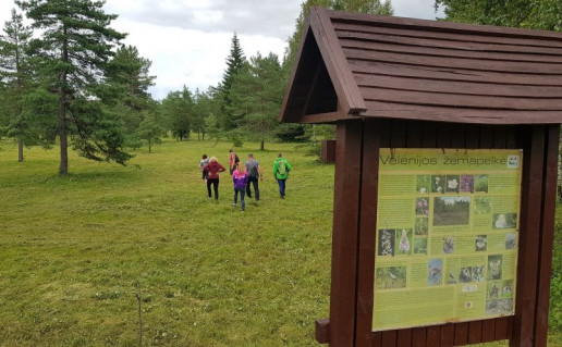 Velėnijos žemapelkė Ilgio ežero pėsčiųjų-dviračių trasoje.jpg