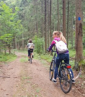 Ilgio ežero pėsčiųjų-dviračių trasa.jpg