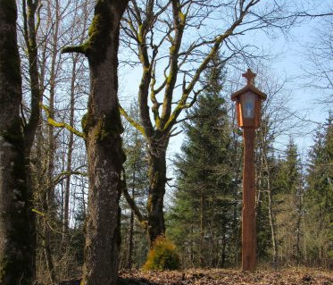 Ilgio ežero pėsčiųjų-dviračių trasa.jpg