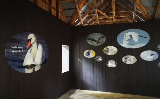 Pauksciu stebejimo vieta ant Ilgio ez. kranto. R. Jundulienes n.jpg