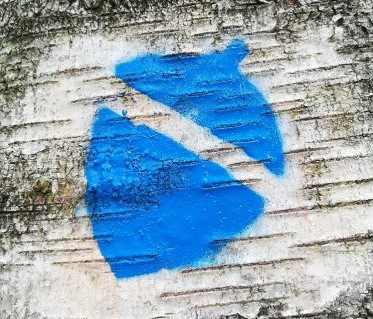 Ilgio ež. trasos žymėjimas.jpg