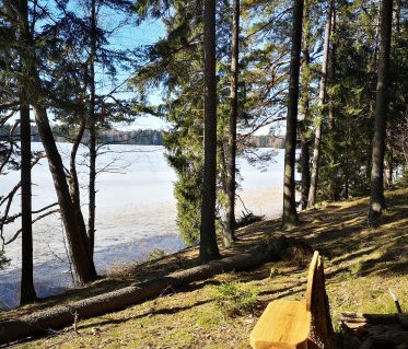 Ilgio ez. (pyliu) pesciuju takas. R. Jundulienes n.jpg