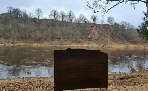 Punios šilo kraštovaizdis 08.jpg