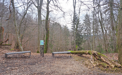 Punios šilo kraštovaizdis 04.jpg