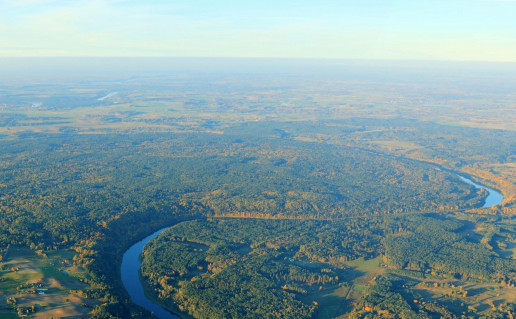 Punios šilo kraštovaizdis 01.jpg