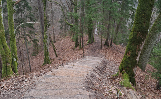 Punios šilo kraštovaizdis 07.jpg