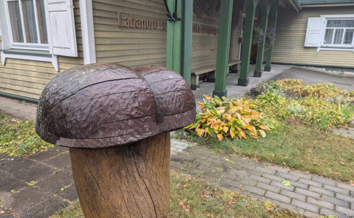 21c56879-eeb5-4218-a3c4-f18b0bd42823 (1).jpg