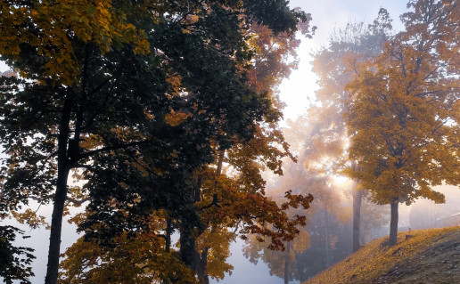 Aida Kirkickienė 2.jpg