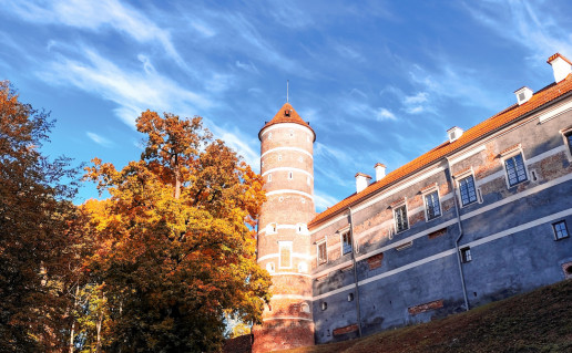 Aida Kirkickienė 3.jpg