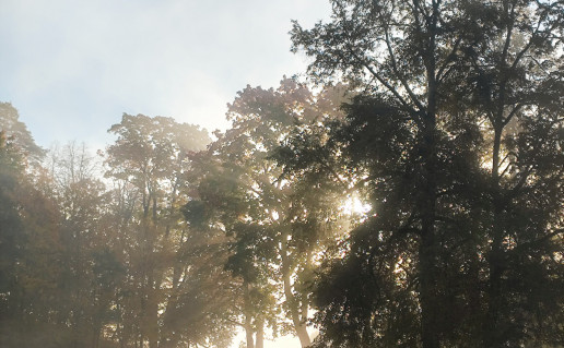 Aida Kirkickiene1.jpg