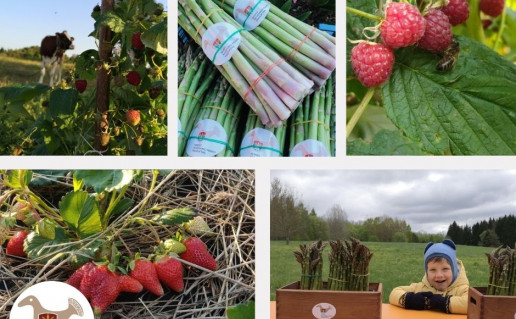 Uogos ir sparagai.jpg