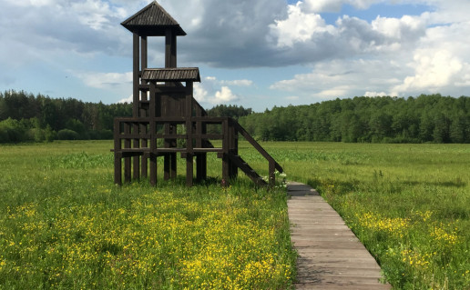 Gamtinis pazintinis takas Ancios siaurineje apyezereje.JPG