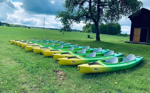 image_6483441 (2).JPG