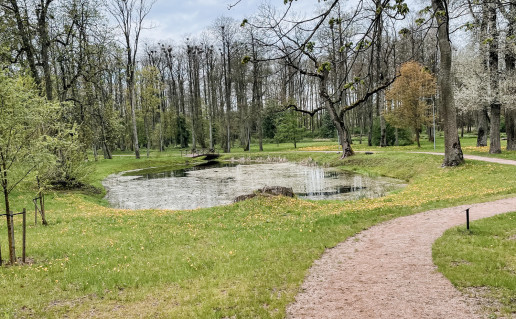 „Veisiejų kūdra“ Raminta Karauskienė, 27 metai.JPG