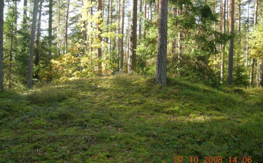 purviniškių pilkapynas kpd foto.JPG