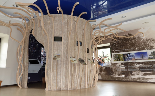 vidaus ekspozicija 2.JPG