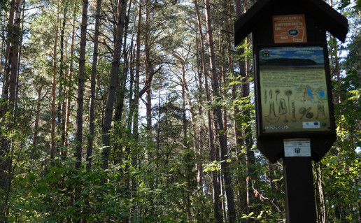 Rakštelių piliakalnis 1.JPG