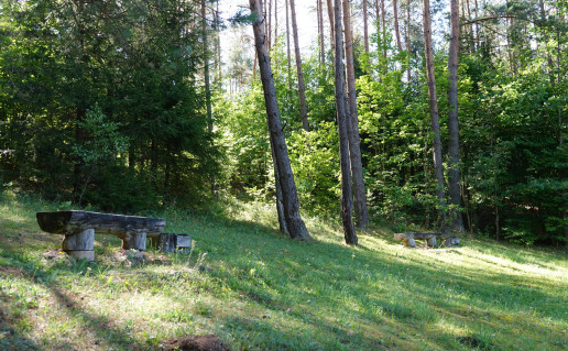 Lino verdenės atokvėpio vieta 1.JPG