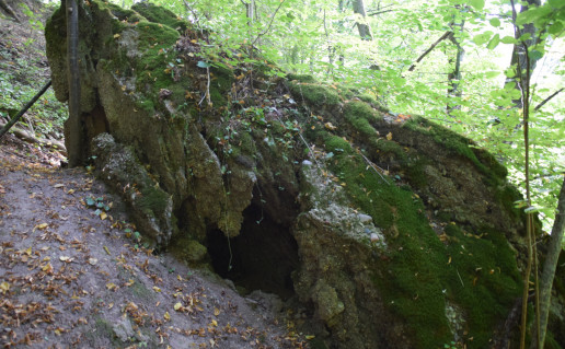 Lašinių konglomeratas.JPG