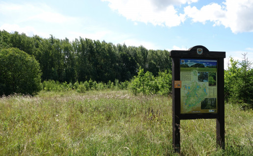 Neversčių uosynas.JPG