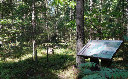 Juodeliškės pilkapynas 2.JPG