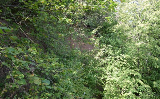 strėvos atodanga.JPG