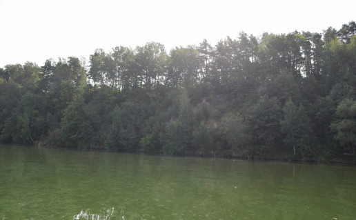 ziegzdriu atodanga.JPG