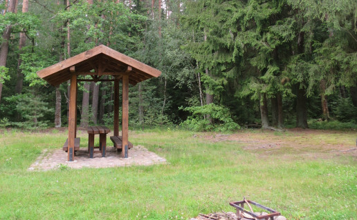 Poilsiavietė Gringalių m. 43 kv. sumažinta.JPG