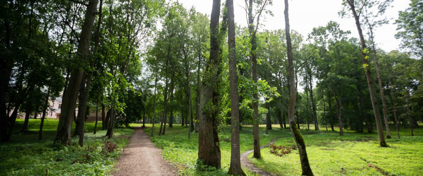 zagares-dvaro-parkas-5d2f72a9c316e.jpg