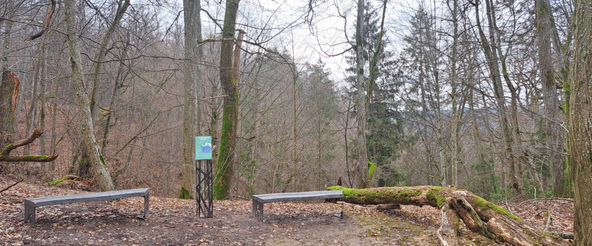 Punios šilo kraštovaizdis 04.jpg