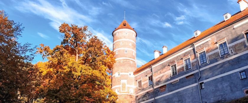 Aida Kirkickienė 3.jpg