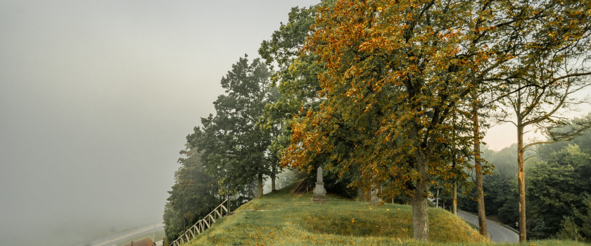 Audrius Mikšta2.jpg