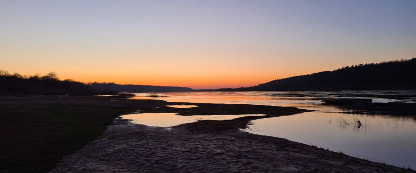 Dovilė Kazakauskienė.jpg