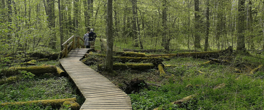 4.6. Buktos takas.jpg